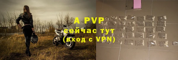 a pvp Абаза