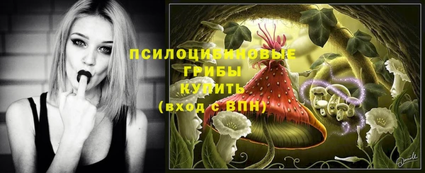 прущий лед Инта
