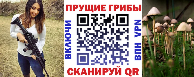 Псилоцибиновые грибы Psilocybe Подольск